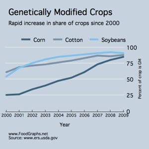 Genetically-modified-crops