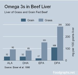brain-food-liver-omega3