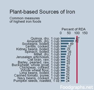 iron-in-plant-foods