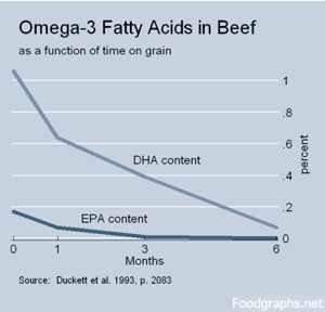 Omega3-beef